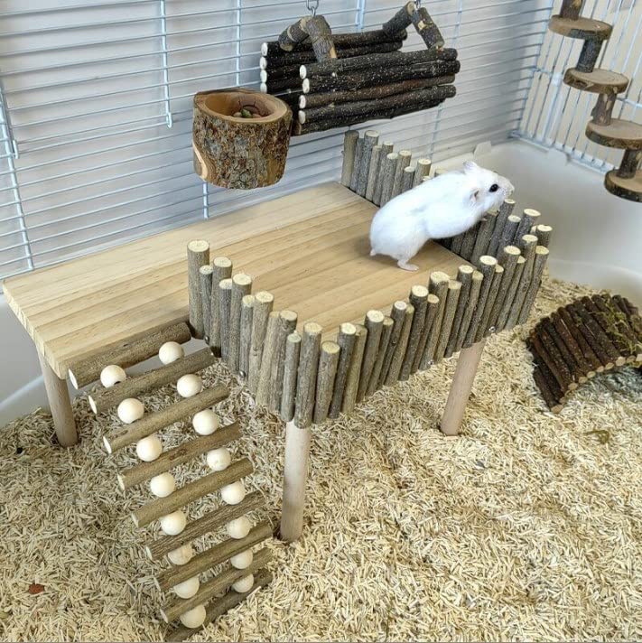 Plateforme pour hamster pour éviter l'ennui des cochons d'Inde - 5