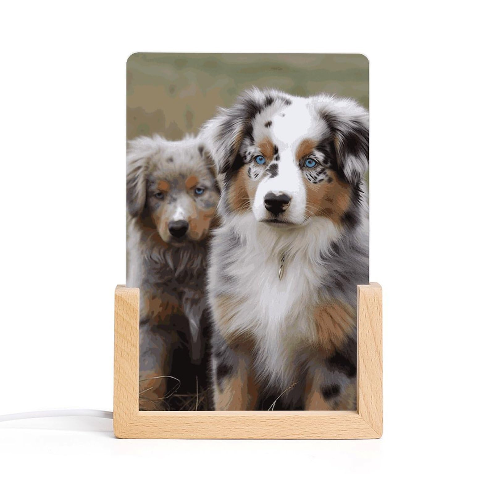 JTREHY Acrylic Night Light,Australian Shepherd Printed Wooden Base LED Night Light Modern Home Decoration Light with USB Switch Cable for Bar Cafe Bedroom Room Decoration