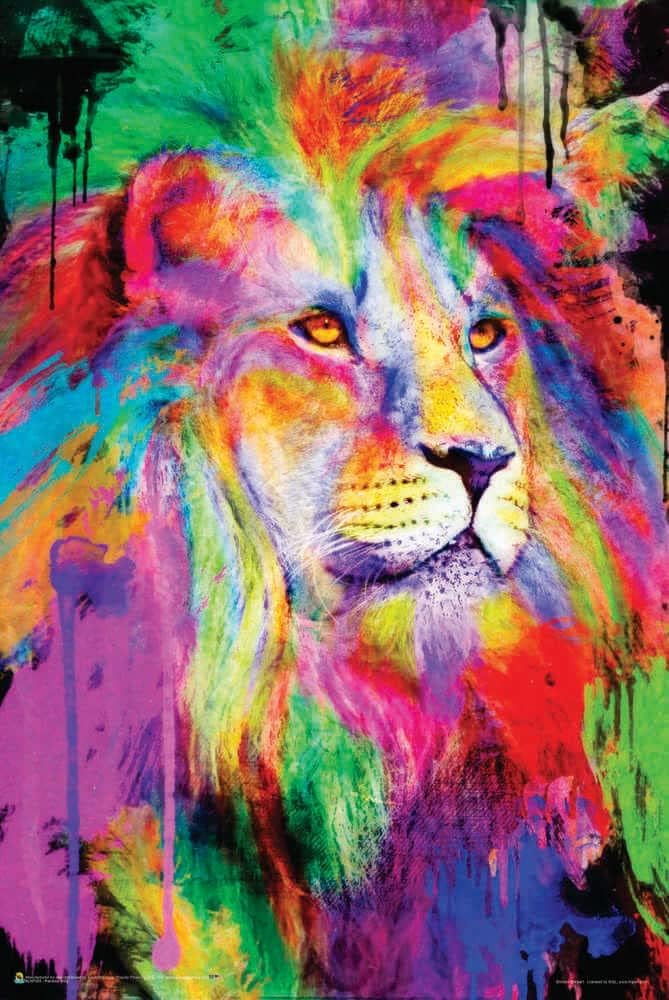 Rainbow King by Aimee Stewart NonFlocked Blacklight