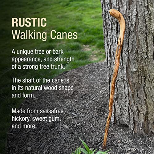image for Brazos Rustic Wood Walking Cane, Hardwood, Knob Root Style Handle, for