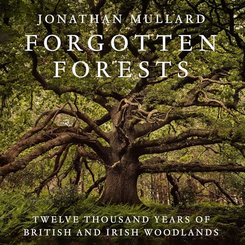 Forgotten Forests by Jonathan Mullard episode artwork