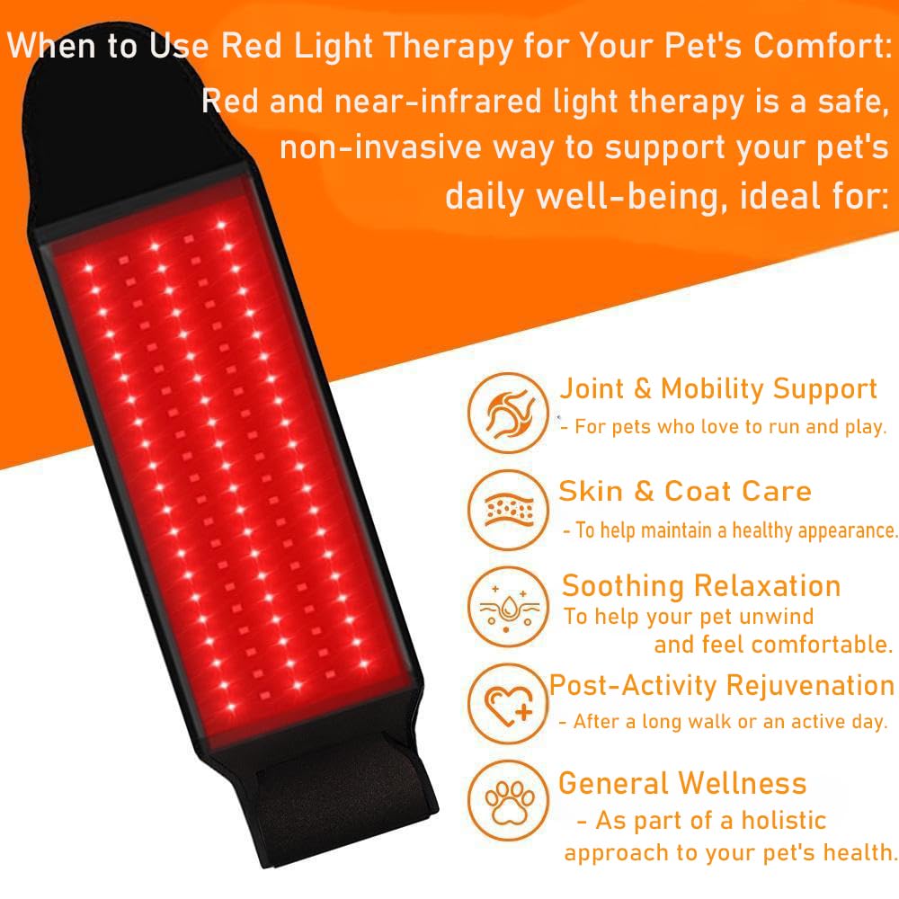 Terapia a luce rossa regolabile per cani, terapia con luce rossa per animali domestici, fascia indossabile portatile per supporto della mobilità e comfort quotidiano, con LED rossi e NIR