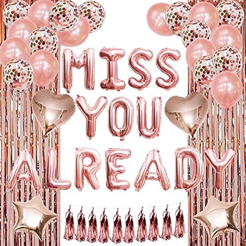 Farewell Decorations Party Going Away Party Decorations for Coworker We Will Miss You Decorations Miss You Already Balloons Banner Goodbye Party Decorations Farewell Banner Bon Voyage Party Decoration Cover