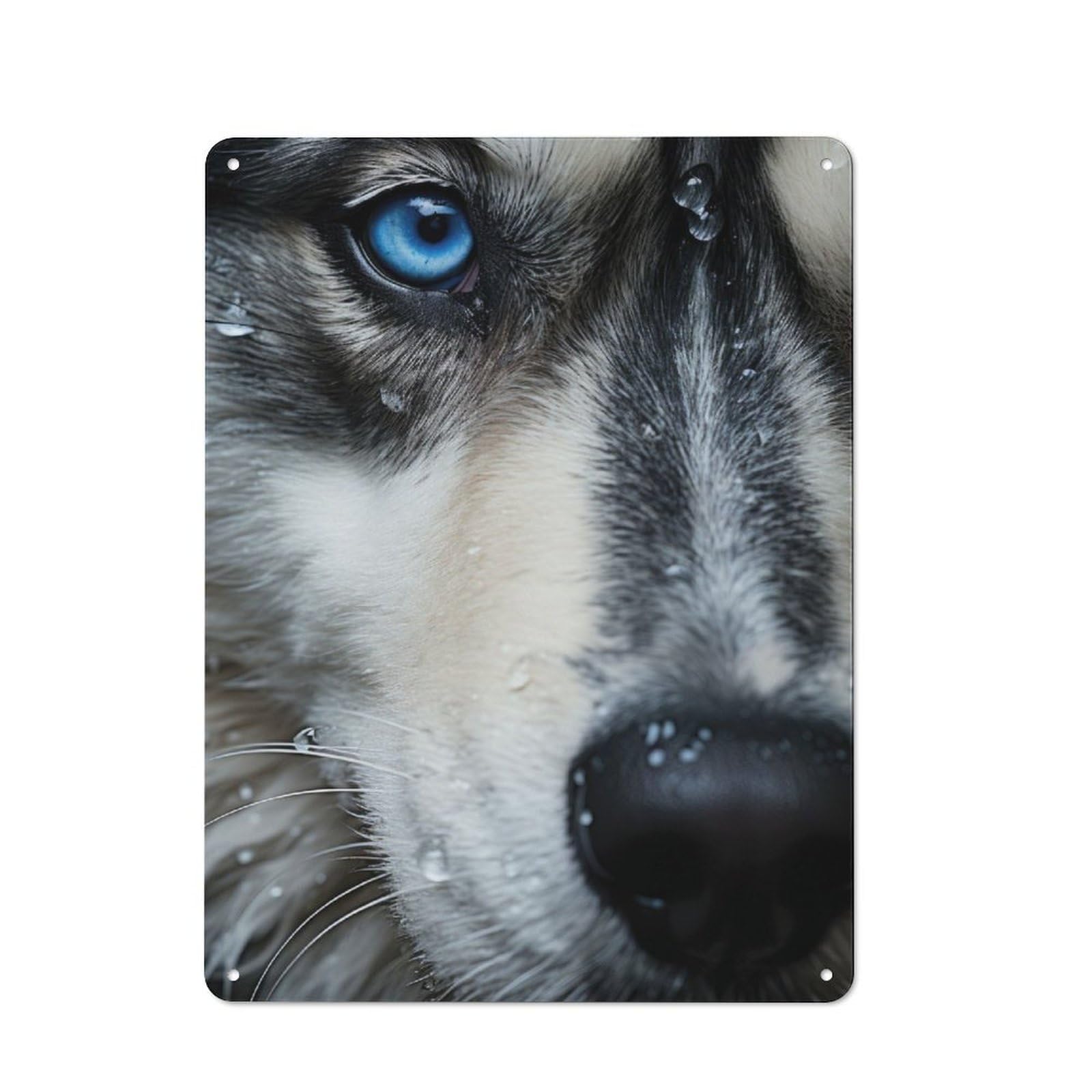 Junmoney Husky Eyes Retro Metal Wall Sign 40X30cm With For Garage Wall, Suited To Garage Decor Collectors