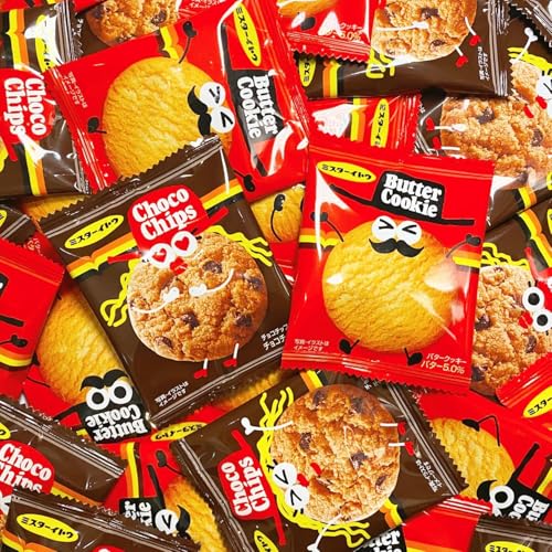 CgE o^[NbL[`R`bvNbL[ 50Zbg (e25) PSJBOX