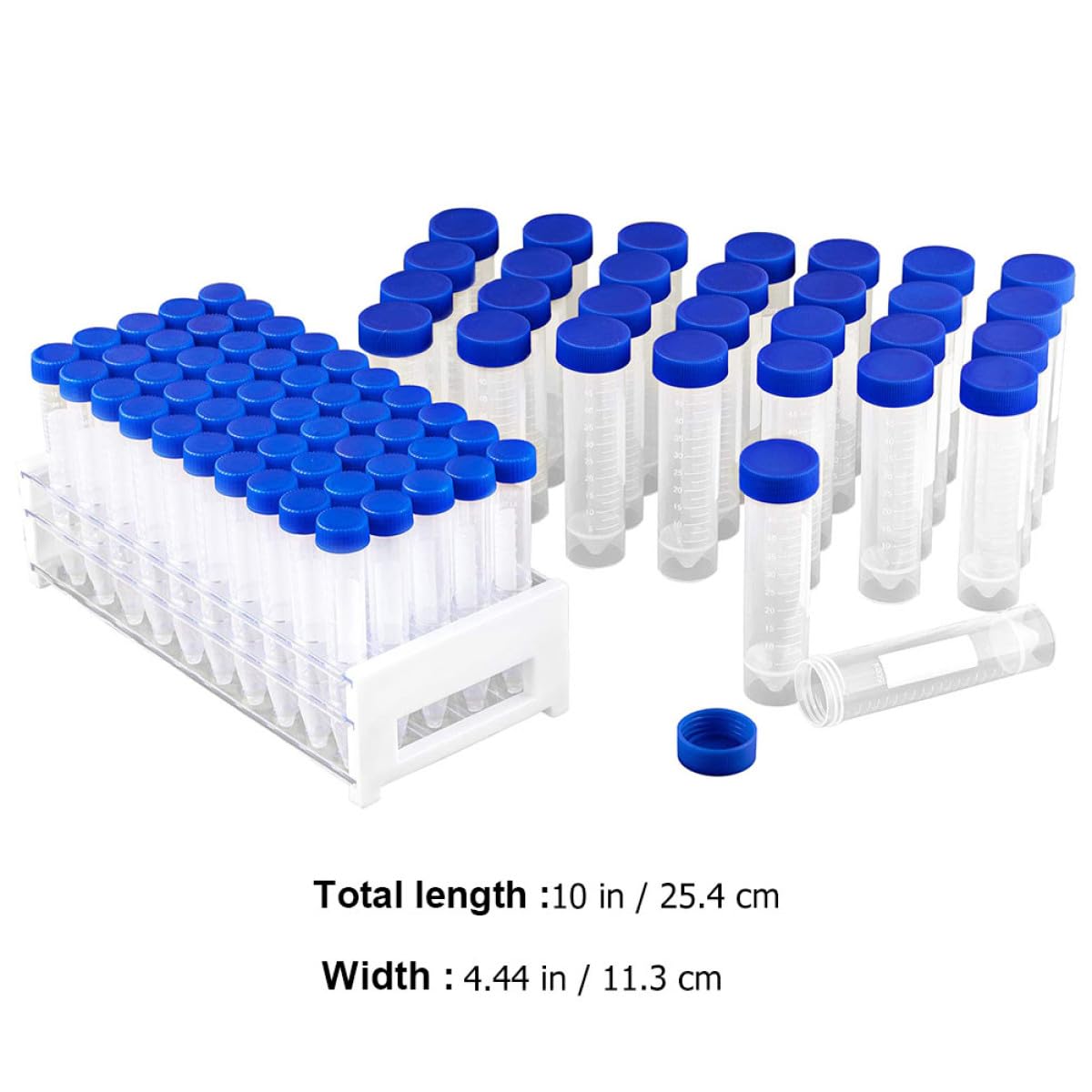 81pezzi Provette Plastica Con Coperchio e Porta Provette Per Esperimenti Scientifici e Conservazione Liquidi