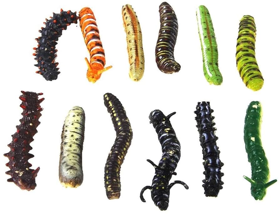 ソフトプラスチックワームセット Amazon.co.jp: Free2Buy ベイトインジェクター 2色ミキシング