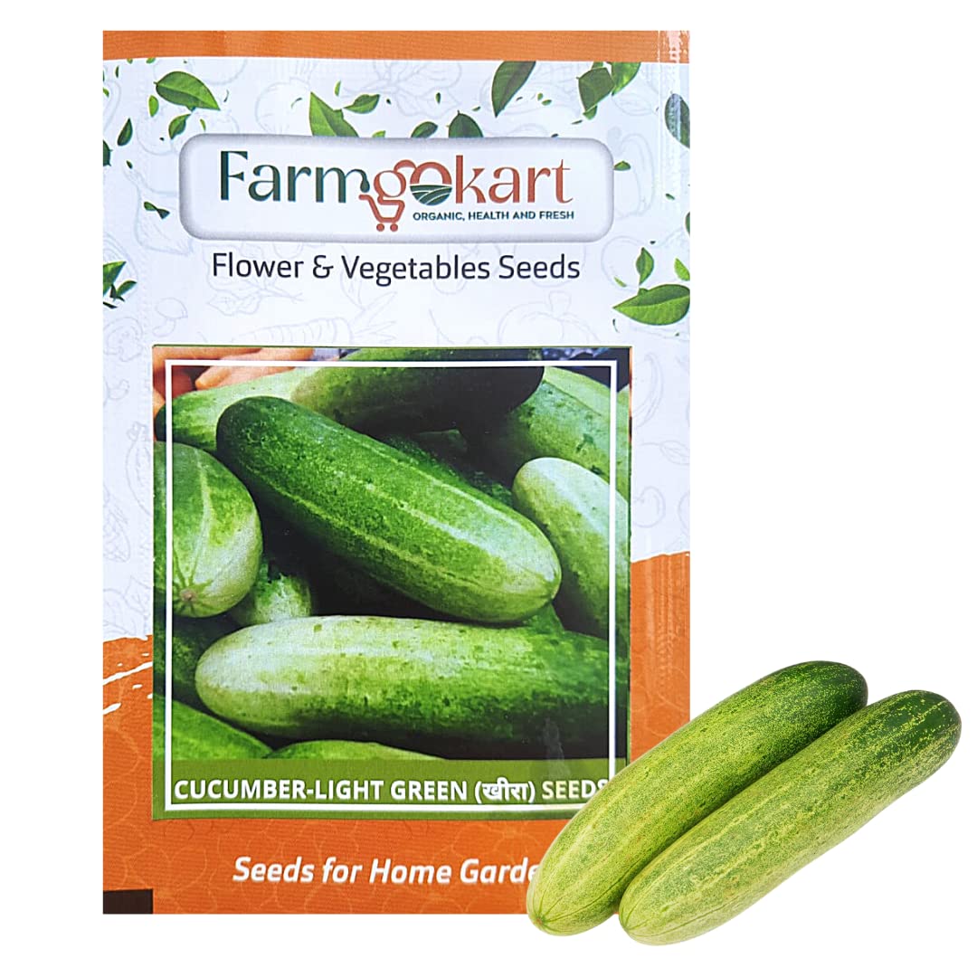 FARMGOKART 5 Gms - CUCUMBER LIGHT GREEN LONG SEEDS, Vegetable Seeds for Home Gardening, Farming, Hydroponics and Poly Houses (B0BTYN5LGC) Amazon Price History, Amazon Price Tracker