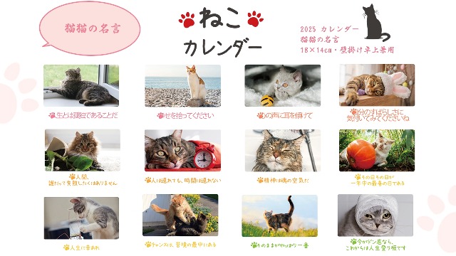 猫が邪魔で何も見えないカレンダー 猫が邪魔で何も見えないカレンダー 猫が邪魔で何も見え