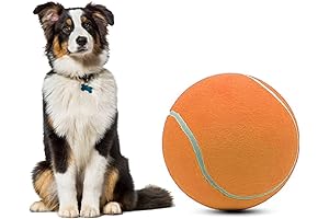 9.5" Oversize Giant Tennis Ball Dog Toy