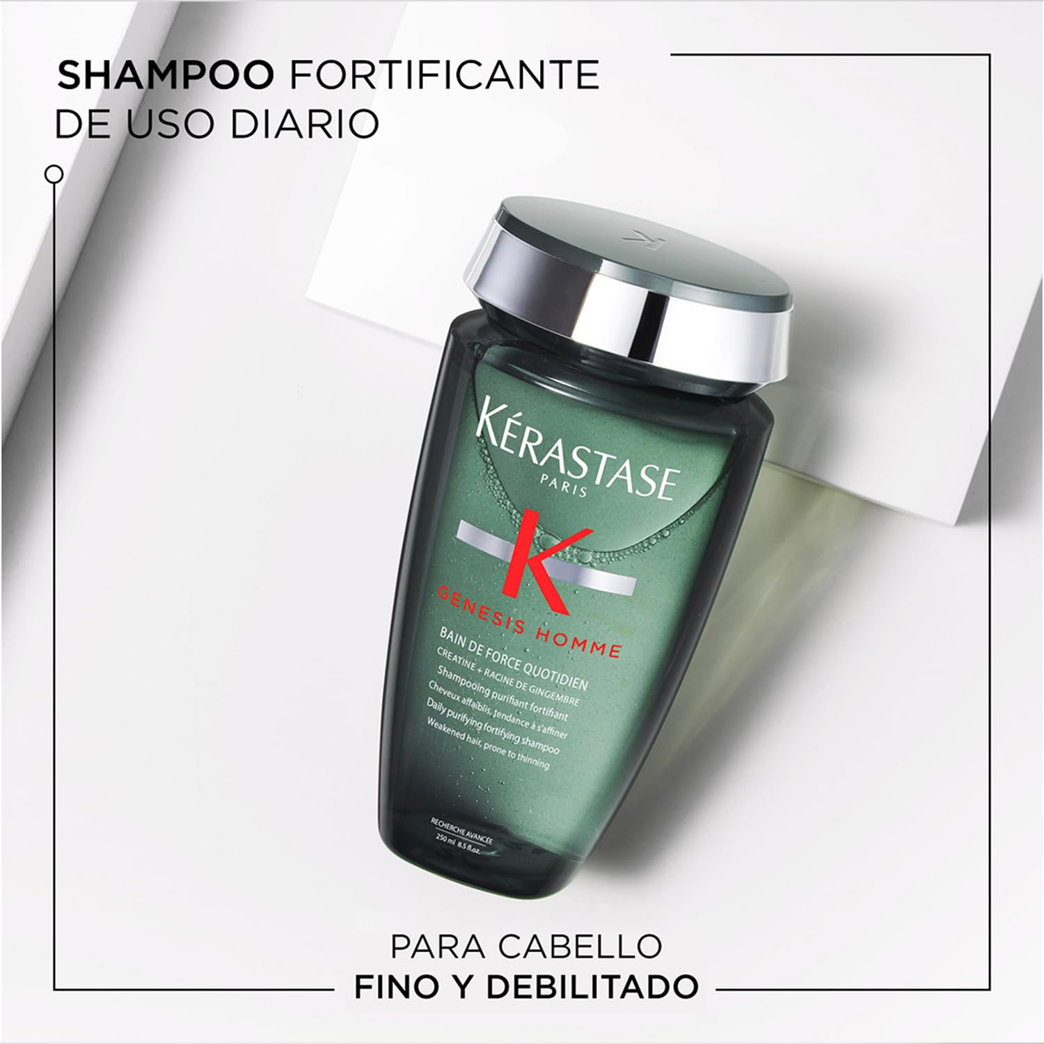 KERASTASE Genesis Homme - Bain de Force Quotidien - Shampoing Purifiant - Cheveux, Cuir Chevelu, Barbe - Créatine & Racine de Gingembre - Sans Silicone - Cheveux Affaiblis & Affinés - 250 ml