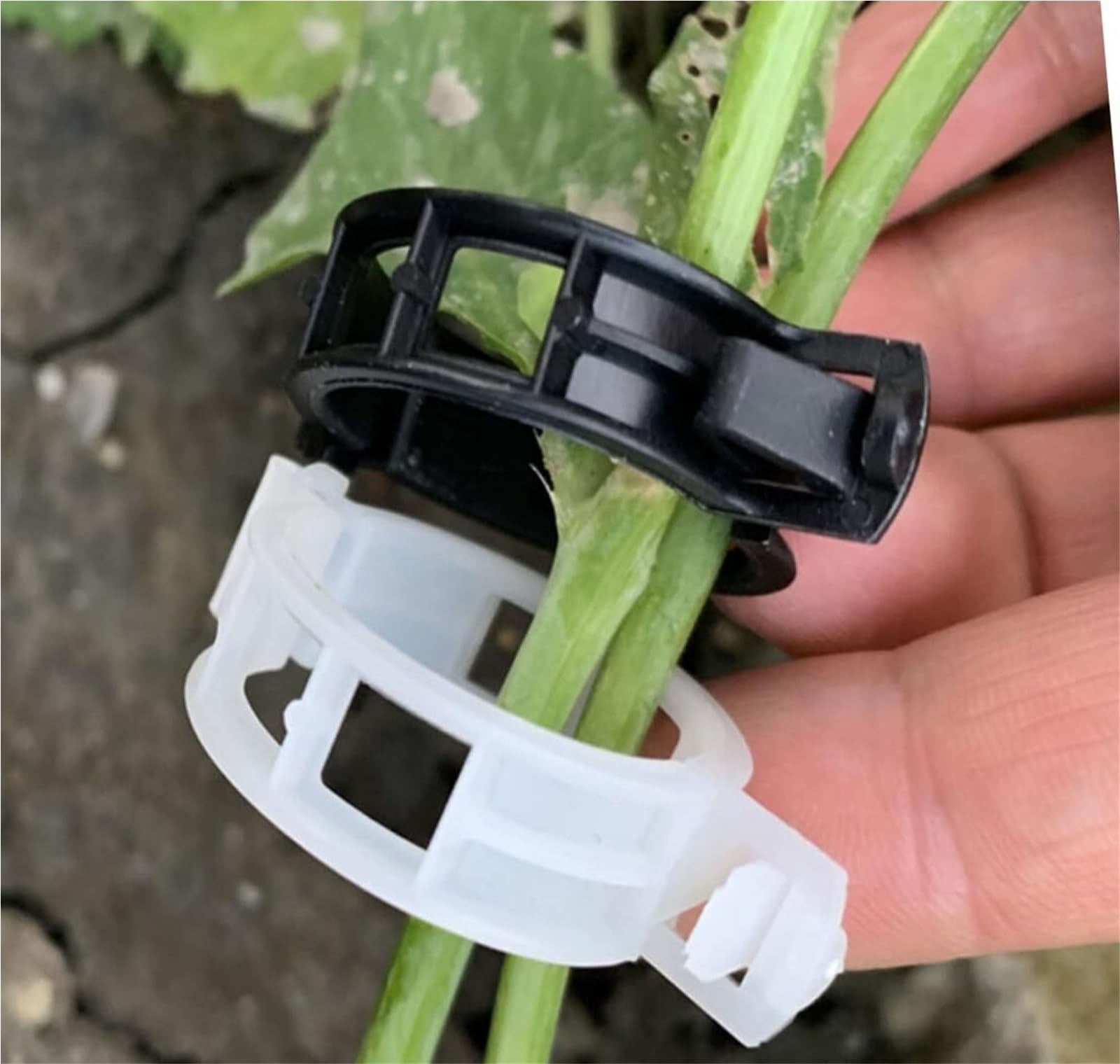 Mollette di sostegno per rampicanti da giardino, Clip for piante da giardino da 500 pezzi: supporti for stelo, clip di supporto for vite, materiale PP