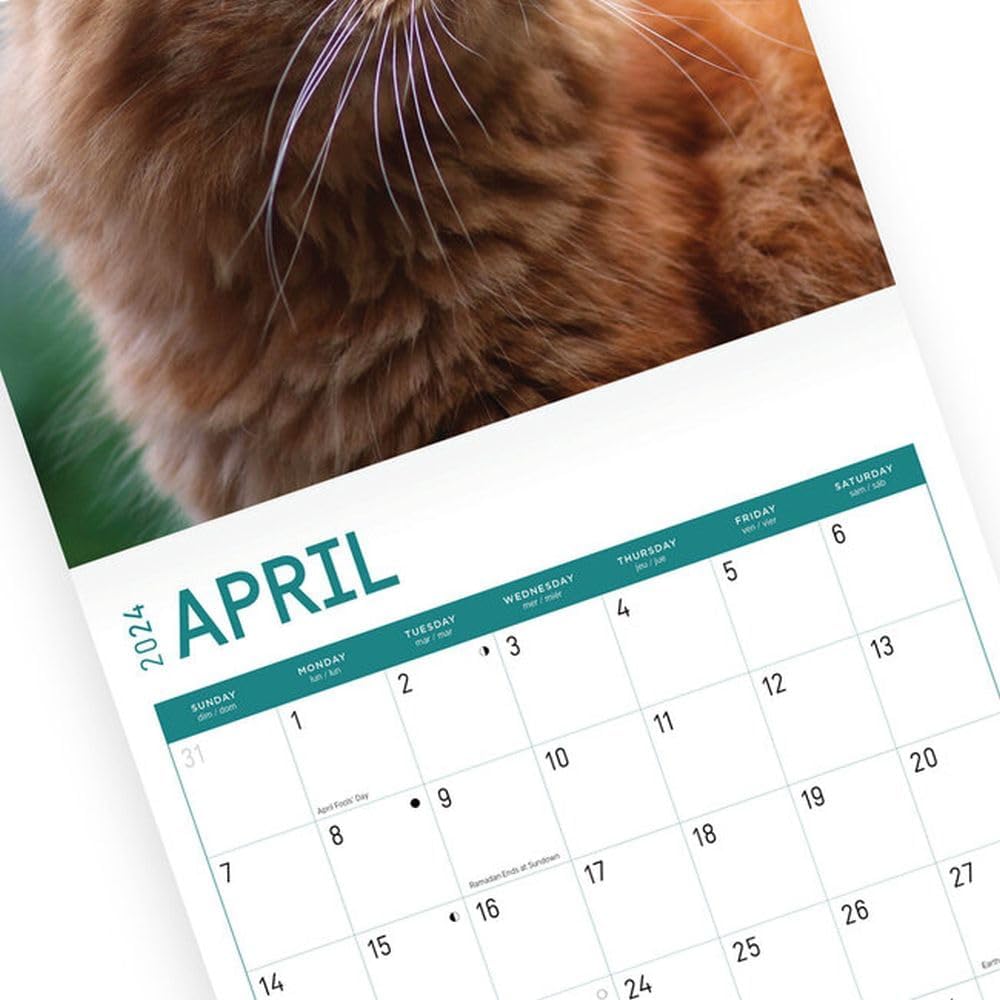 Calendario De Pared De Gatos Peed-Off 2025 - Divertidos Memes De Gatos, Regalos Para Amantes De