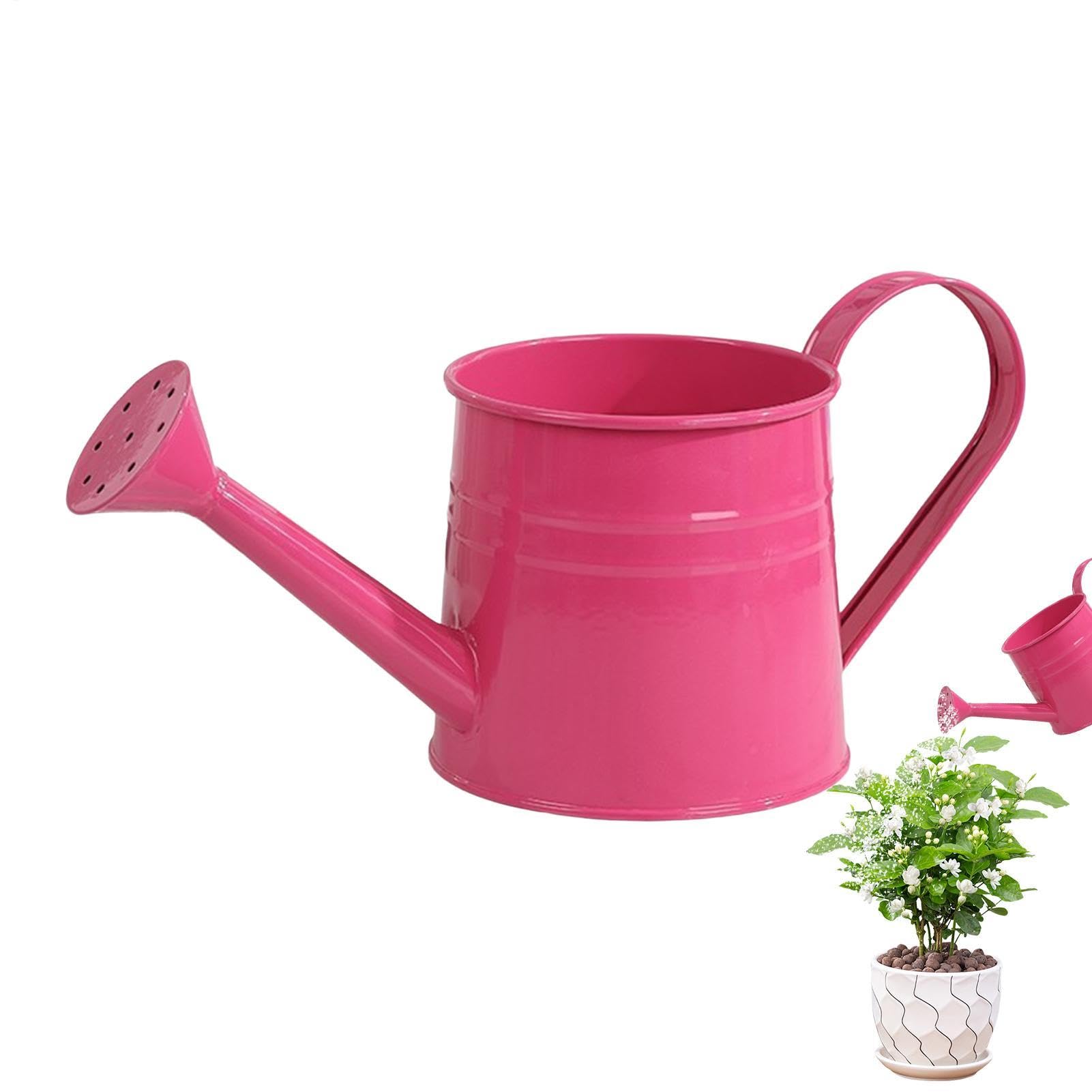 Metal Watering Can Mini, Kids Watering Kettles, Mini Can With Handle Indoor,for Indoor/Outdoor Garden Home Plants,Easy Grip Flower Kettles