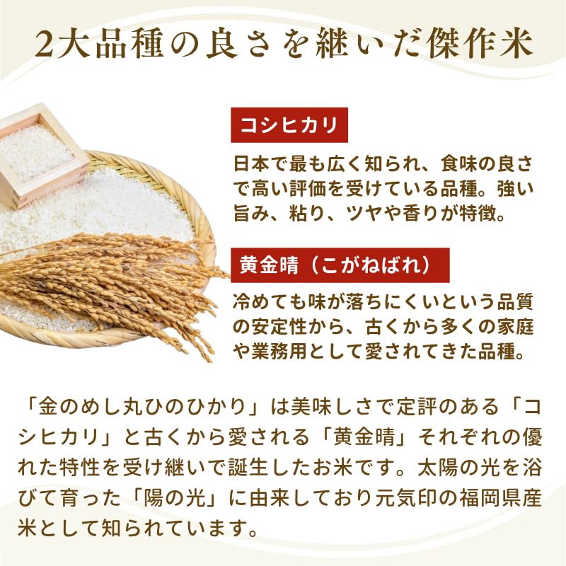 Amazon.co.jp: 令和7年産 福岡県産 金のめし丸 ひのひかり 無洗米 1kg