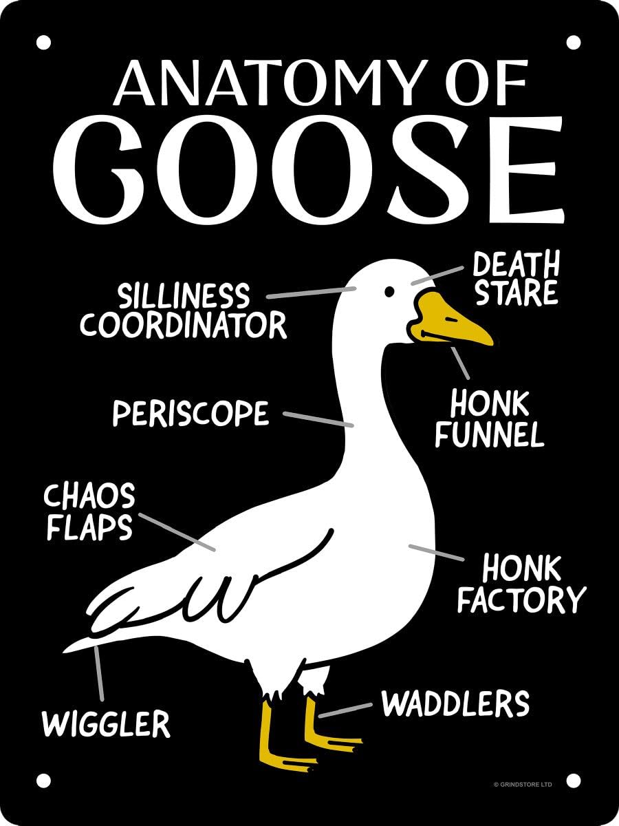 Grindstore Multicolour Silly Goose Anatomy Of A Goose Mini Tin Sign
