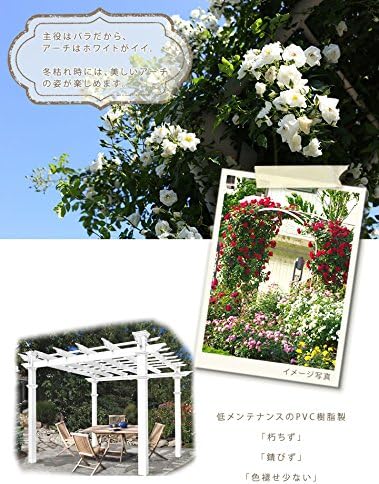 Amazon 樹脂製 ホワイトフェンス シリーズ イタリアンパーゴラ 組立式 基礎 Mベース スカート４個付属 パーゴラ アーチ