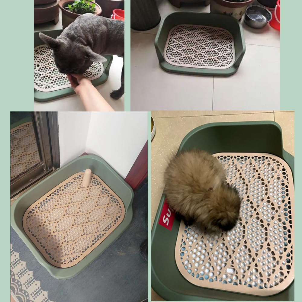 Bandeja de entrenamiento para mascotas, diseño de rejilla con borde elevado -60 x 50 vm (verde oscuro)