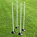 Net World Sports Complete Rounders Set (Bats, Balls, Poles, Bases & Carry Bag) (Classic or Jumbo) – Everything Your School, College or Team Needs for Rounders Action (Jumbo Rounders Set)