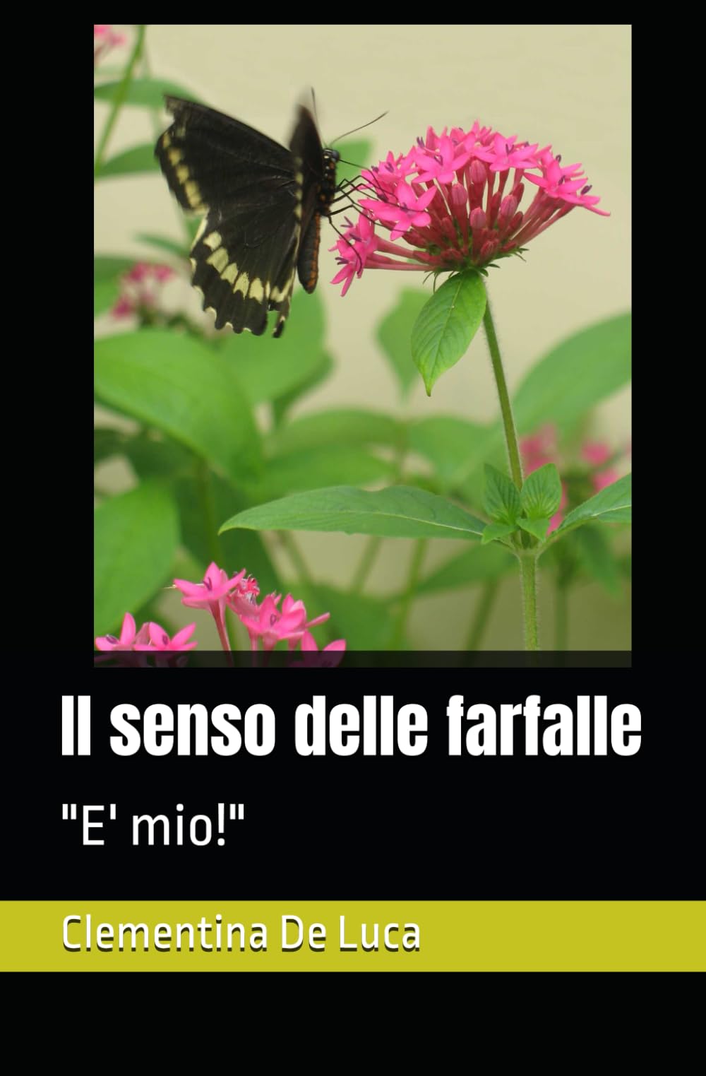 Il senso delle farfalle: "E' mio!"