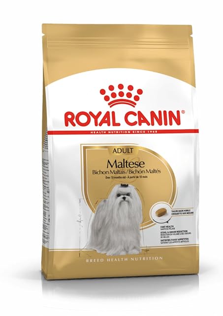 Royal Canin Maltés Adulto