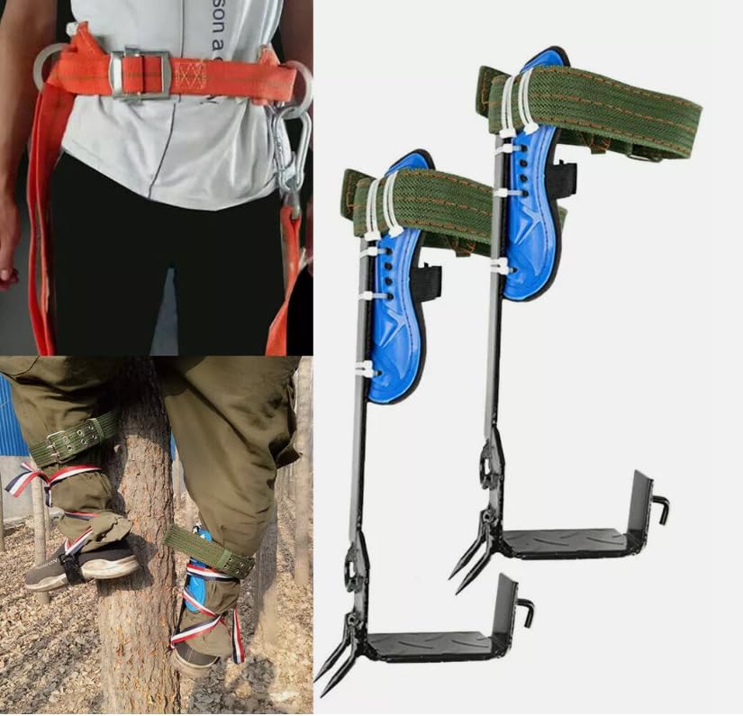RibasuBB Tree Climbing Spikes Kit, Tree Climbing Gear Arborist, Adjustable Tree Climbing Gear Pole Climbing Spurs Tool with Harness Belt for Climbers, Logging, Hunting Observation, Fruit Picking