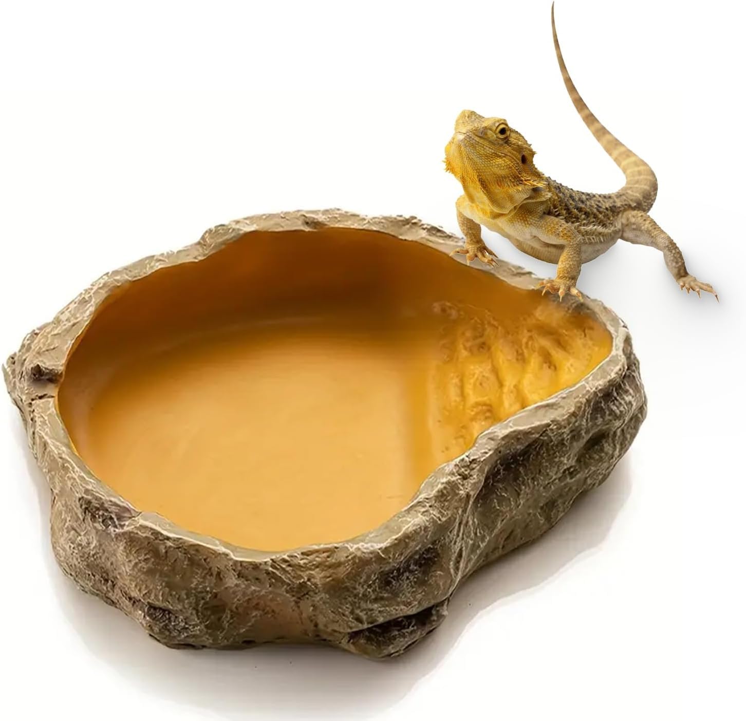 MUYYIKA Water Bowl Terrarium, Turtle Accessories, Reptile Water Bowl, Food Bowl, Terrarium Drinking Bowl, Water Bowl, Bowl, Accessories for Snake, Turtle, Gecko