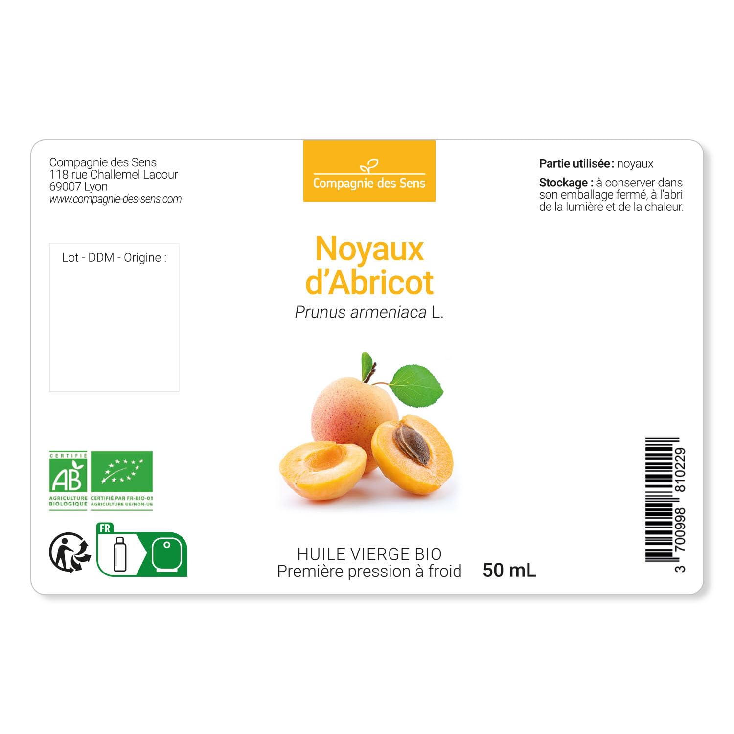 Noyaux d'Abricot - Huile Végétale Vierge BIO - Flacon en verre - Première pression à froid - 1L Alu