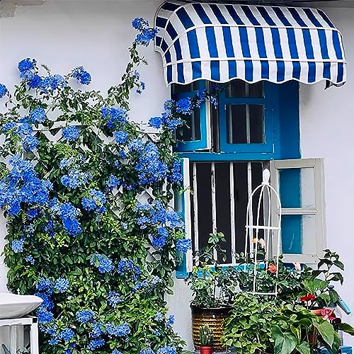 Auvent de terrasse style arche française haut de gamme en polyester - 2