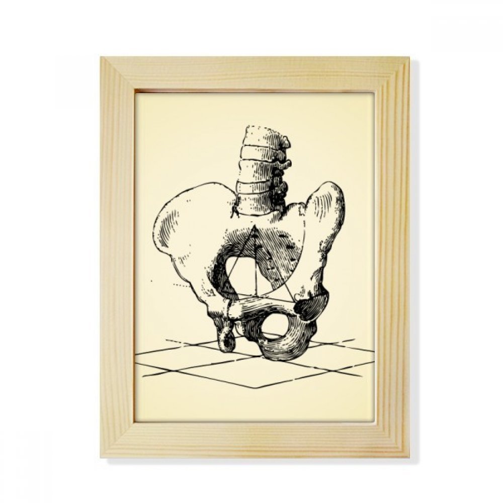 Boceto esqueleto humano en marco de madera regalo original para médicos estudiantes de medicina