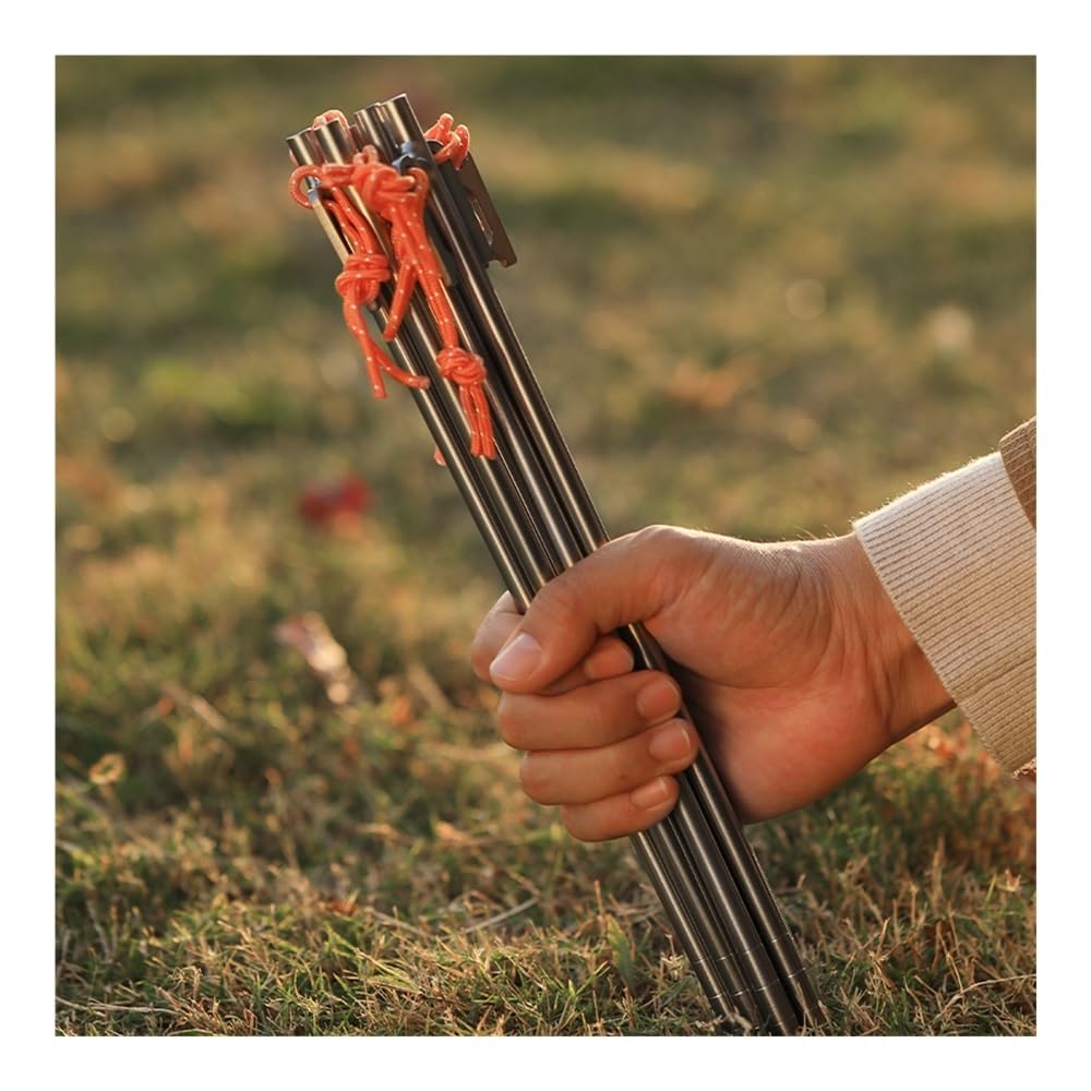 Outdoor Camping tytanowe śledzie namiotowe wytrzymałe kołki namiotowe zapobiegające zginaniu gwoździe do namiotu 20/24/30/35/40 cm (8 x 300 2 szt.)