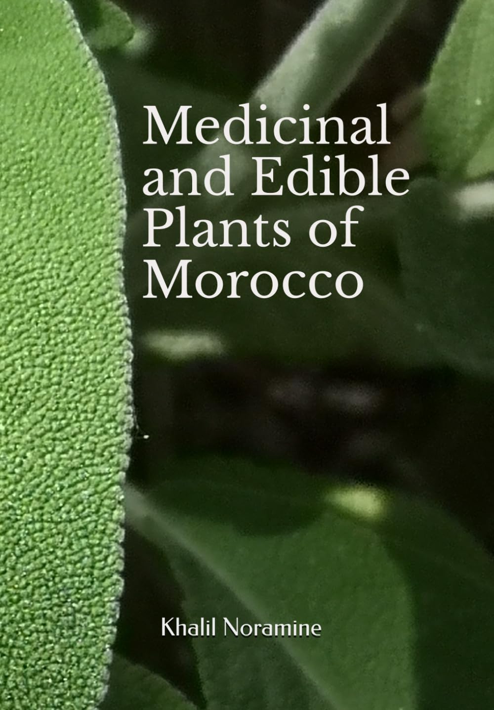 Medicinal and Edible Plants of Morocco