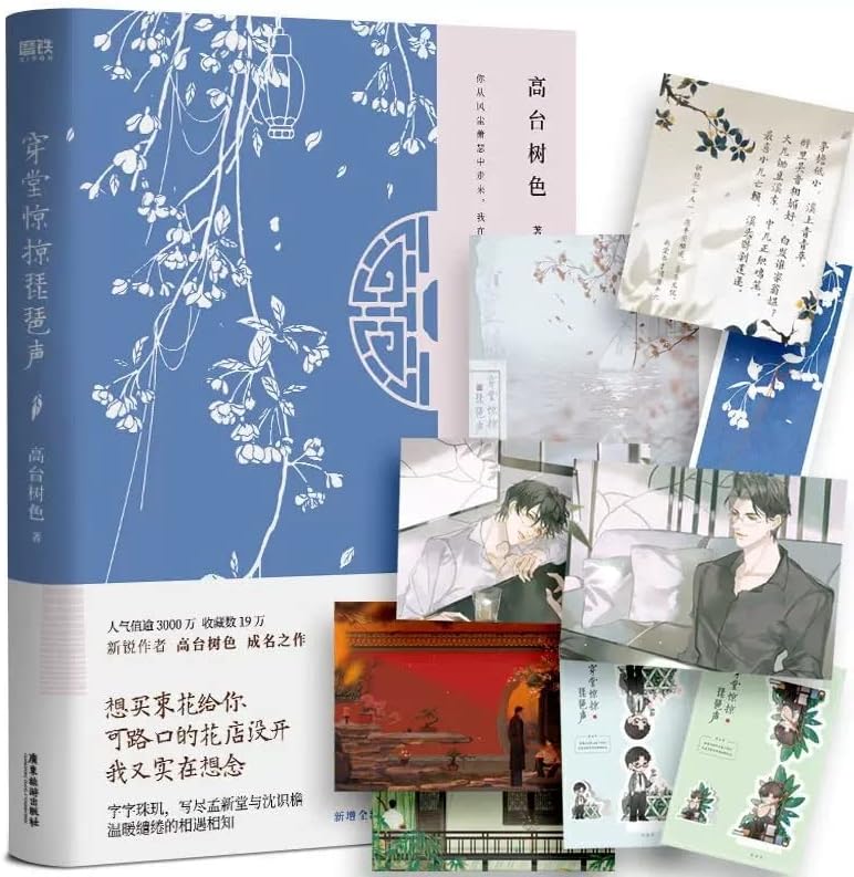 New Chuan Tang Jing Lue Pi Pa Sheng gao tai shu se Modern Romance Novels Fiction Book Libros