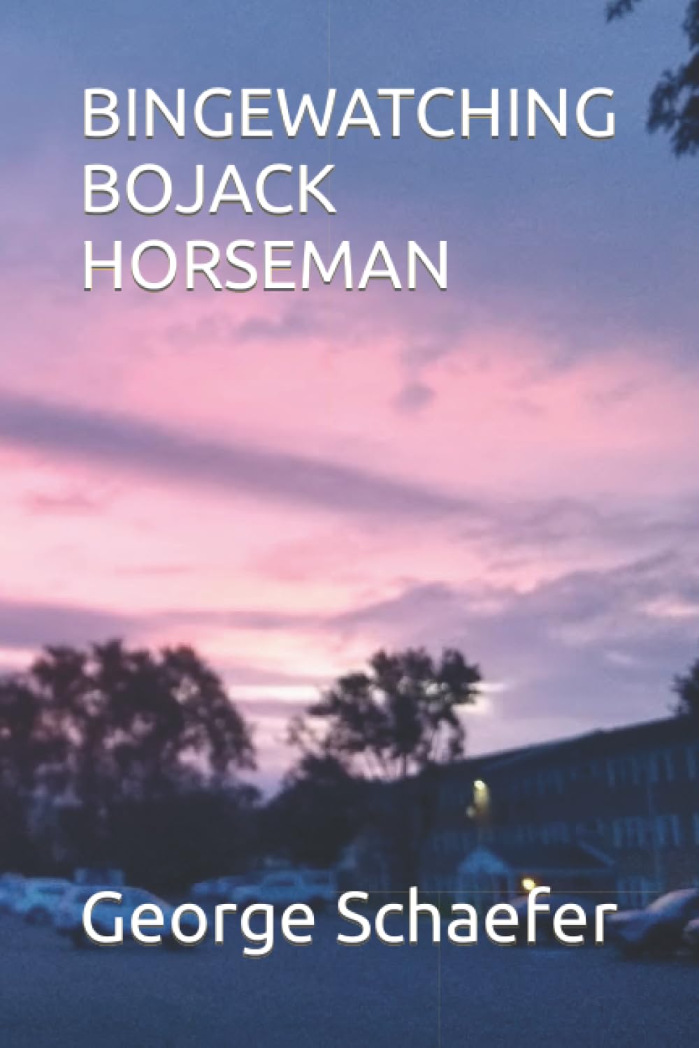 BINGEWATCHING BOJACK HORSEMAN