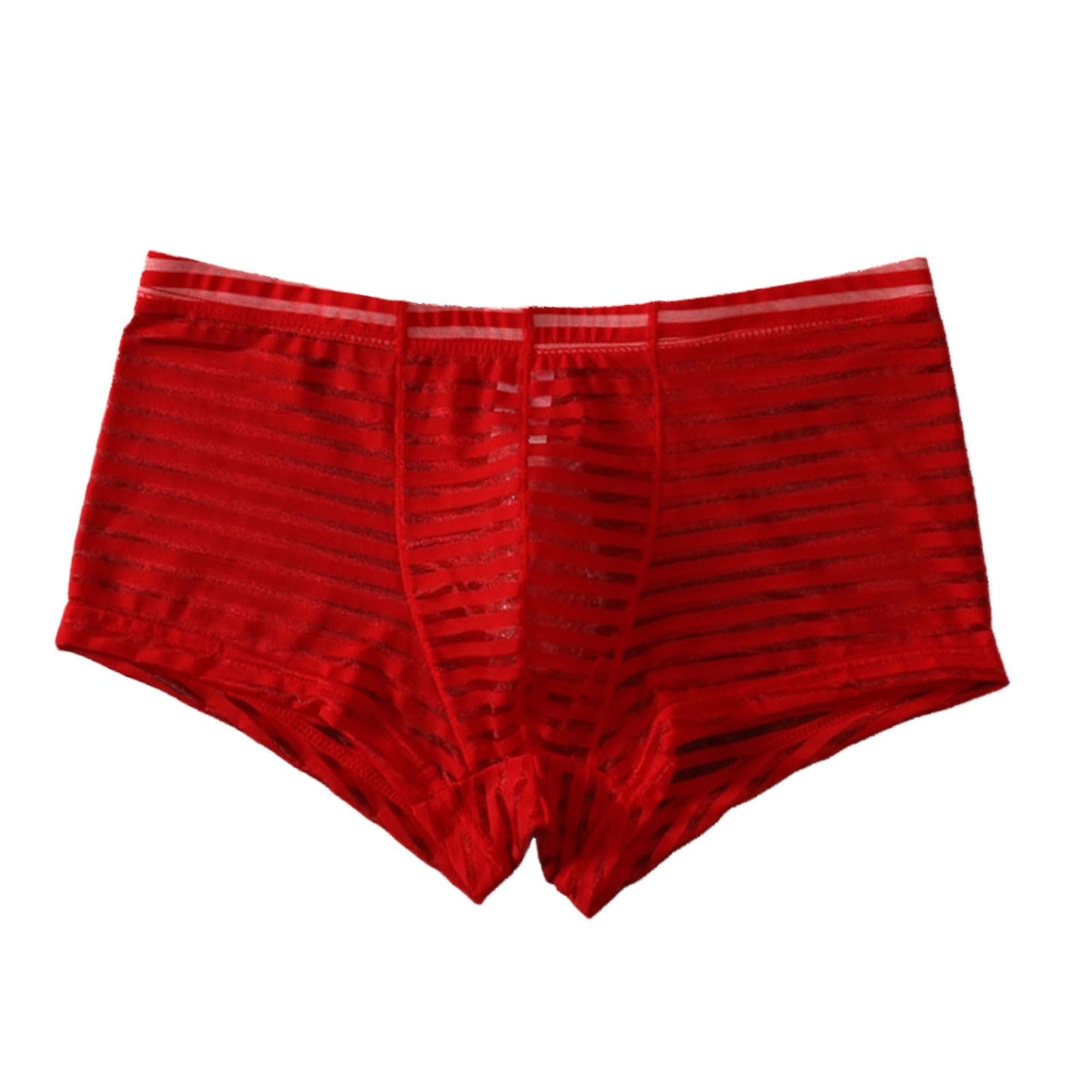 Mens Boxer Briefs Mesh Transparent Low Waist Thin Breathable Comfy Underwear Trendy Big Tall Boys Panty Underpant