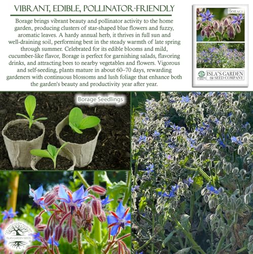 Borage Flower & Herb Seeds (Borago officinalis) – 125+ Non-GMO Heirloom Seeds by Isla’s Garden Seeds, Edible Blue Blossoms for Garnish & Herbal Tea, Pollinator-Friendly Annual, Easy to Grow, Gift Idea - Image 5