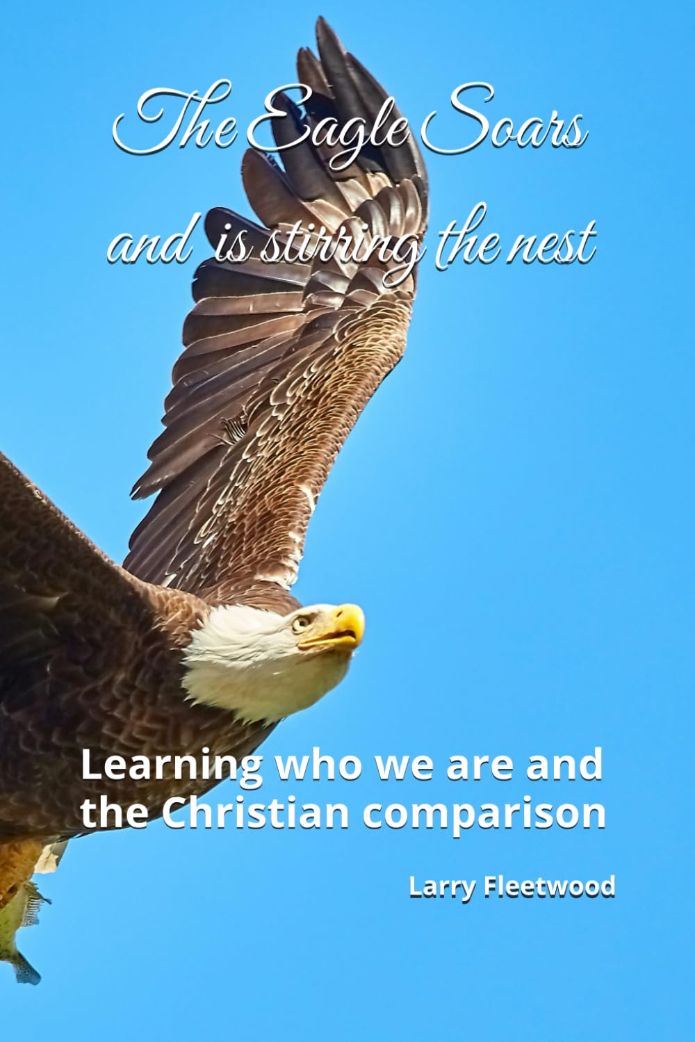 The Eagle Soars