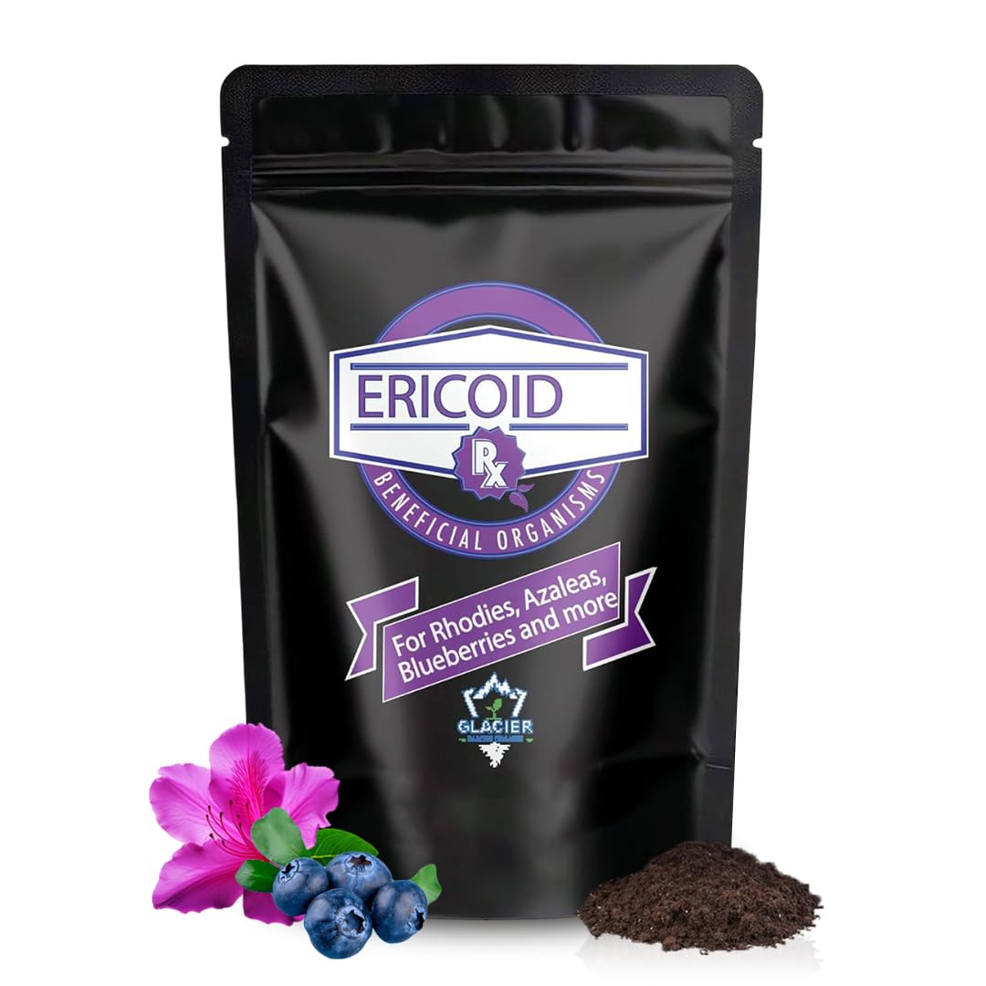 Ericoid Rx Mycorrhizal Inoculant – Mycorrhizal Fungi for Soil & Root Stimulator for Plants| Soil Amendments for Garden, Blueberries, Azaleas, Camellias, & Rhododendrons 16 oz