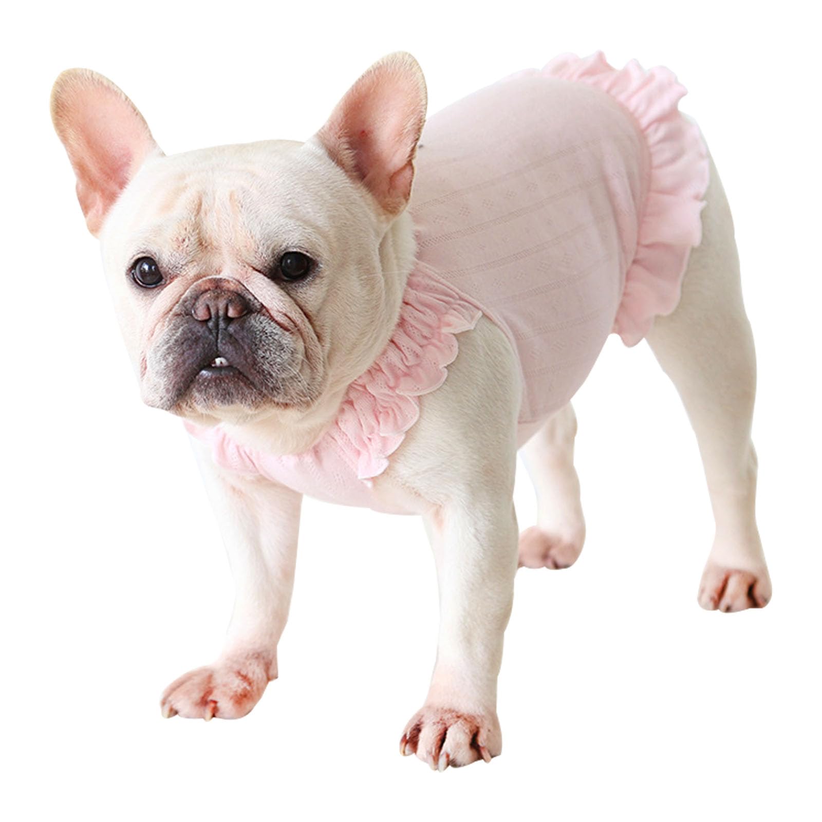 Jupe chemise chien Moorfowl en jacquard rose XXL, robe de prestige pour Bouledogue