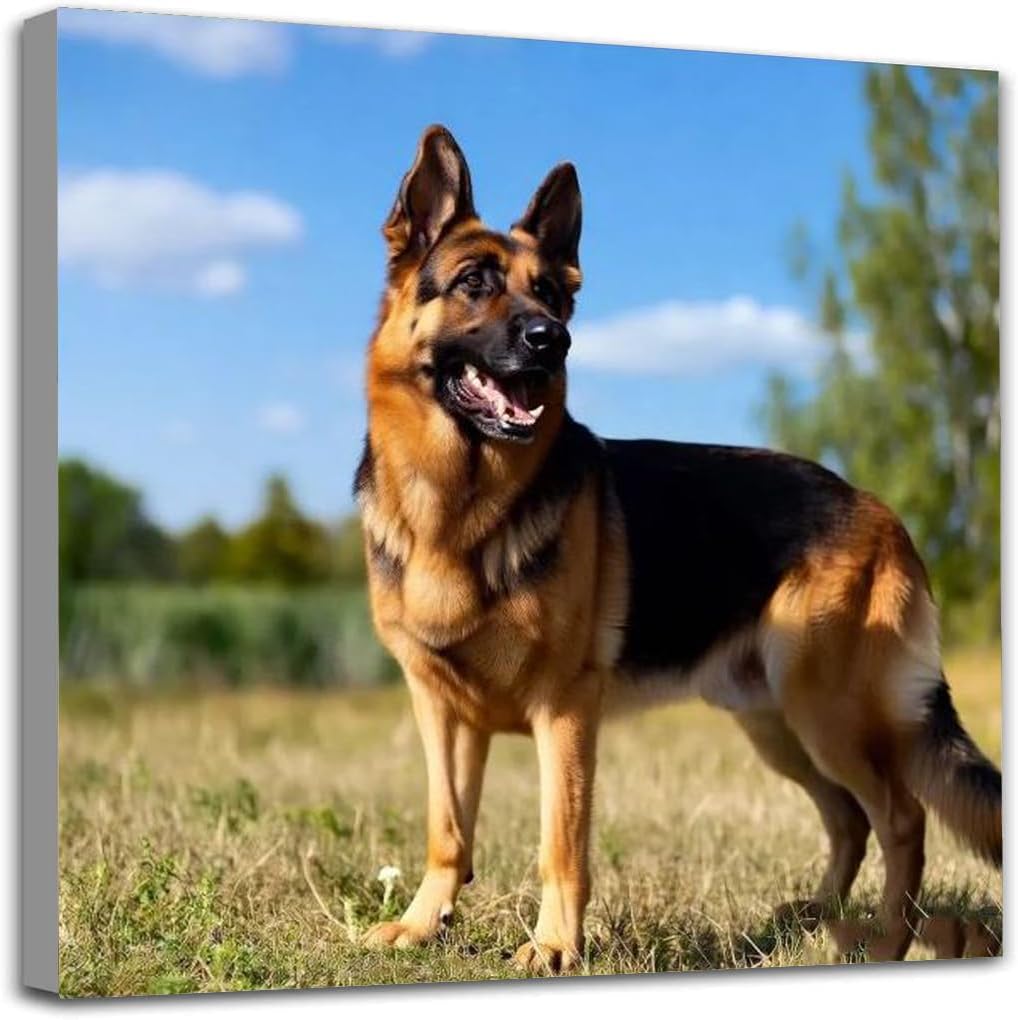 AiEiIiOiUi German Shepherd Cute Pet Dog Animal Diamond Painting Kits for Adults, 5D Crystal Diamonds Art with Accessories Tools, Picture DIY Art Craft for Home Décor Gift