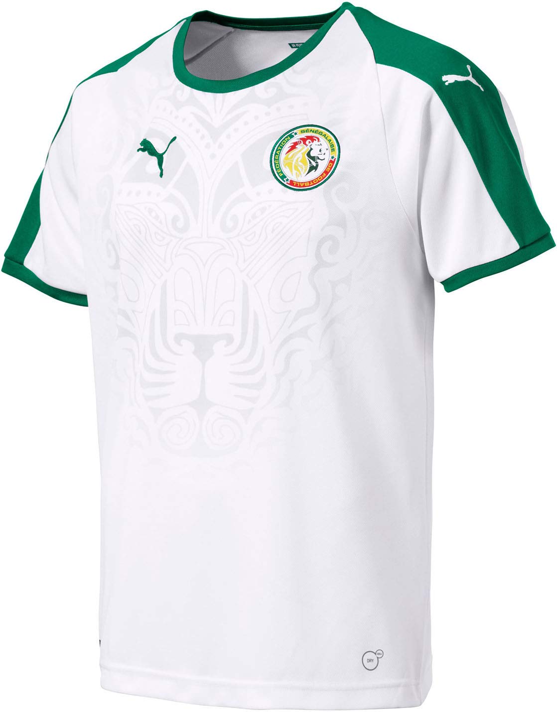 PUMA Men's Fif Ivory Coast Replica Jersey