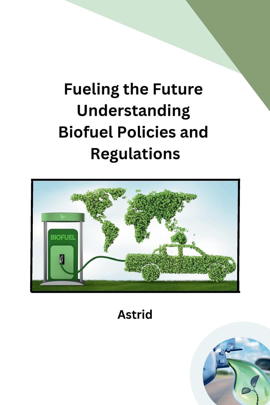 Biofuel Policies : maîtrisez les normes de transition énergétique et régulations