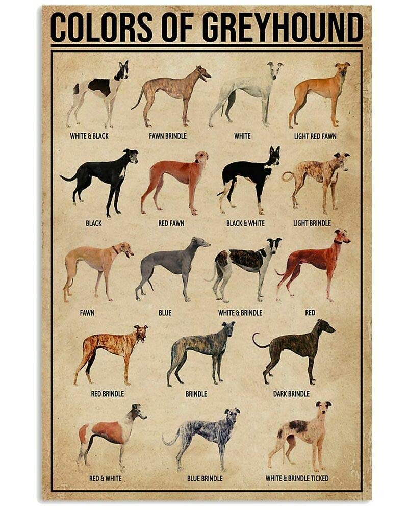 Tfzqm Style 1 Colors Of Greyhound Metal Tin Sign Dog Type Knowledge Poster Farm Family Club School Education Wall Decoration Plaque 8X12 Inches