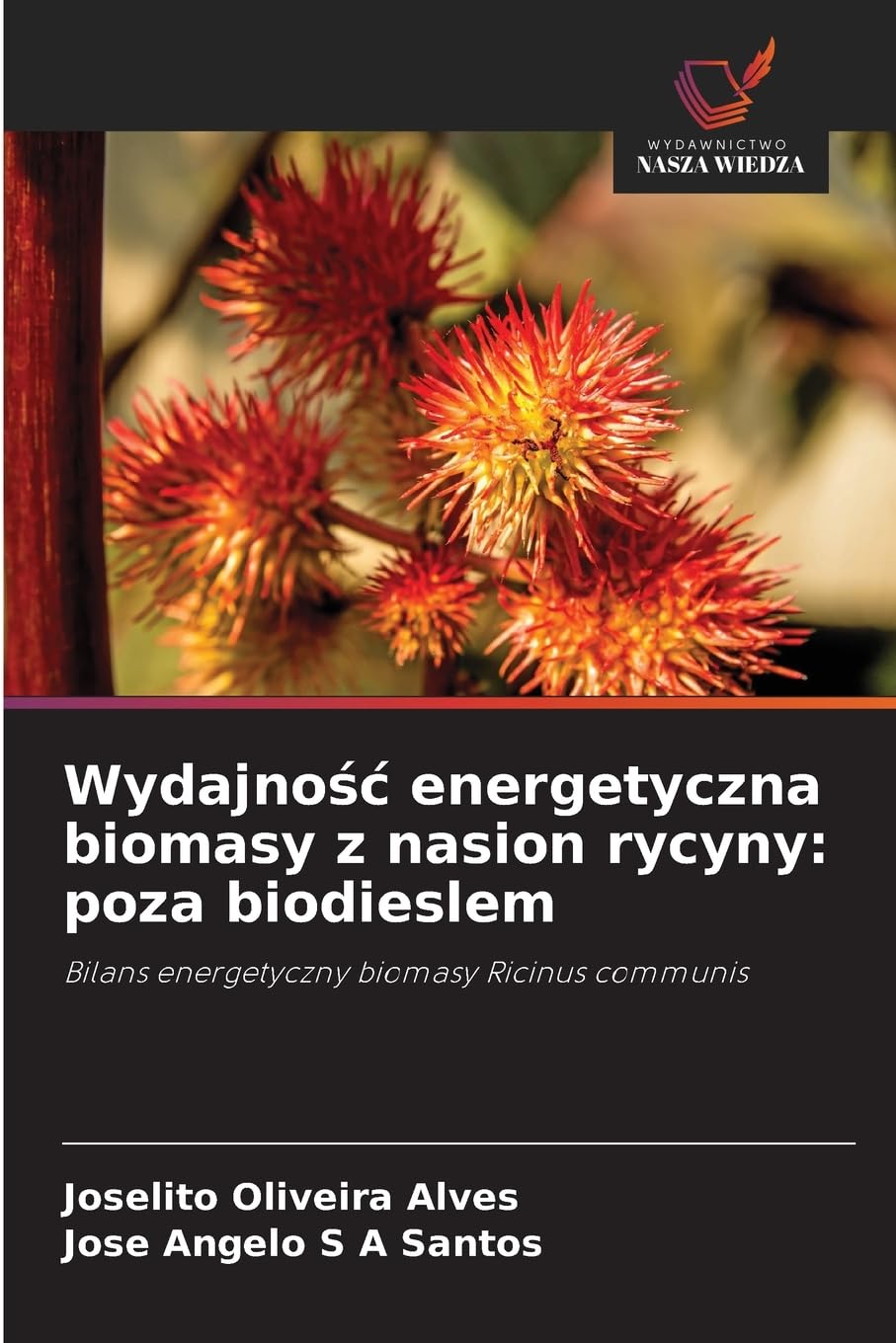 Wydajnośc energetyczna biomasy z nasion rycyny: poza biodieslem