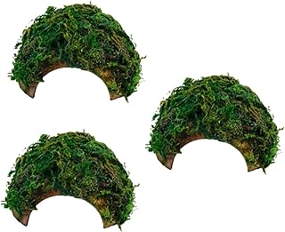 Ipetboom 3 Pçs Caixa Réptil Esconderijo Casa Recipientes De Vidro Esconderijo Musgo Abrigo Hamster Creepypasta Tartaruga Re Esconder Lagartixa E Ornamento De Caverna Recipiente Caixa De