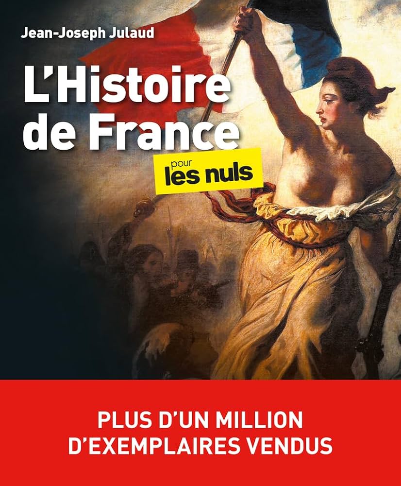 Amazon.com: L'Histoire de France pour les Nuls, grand format