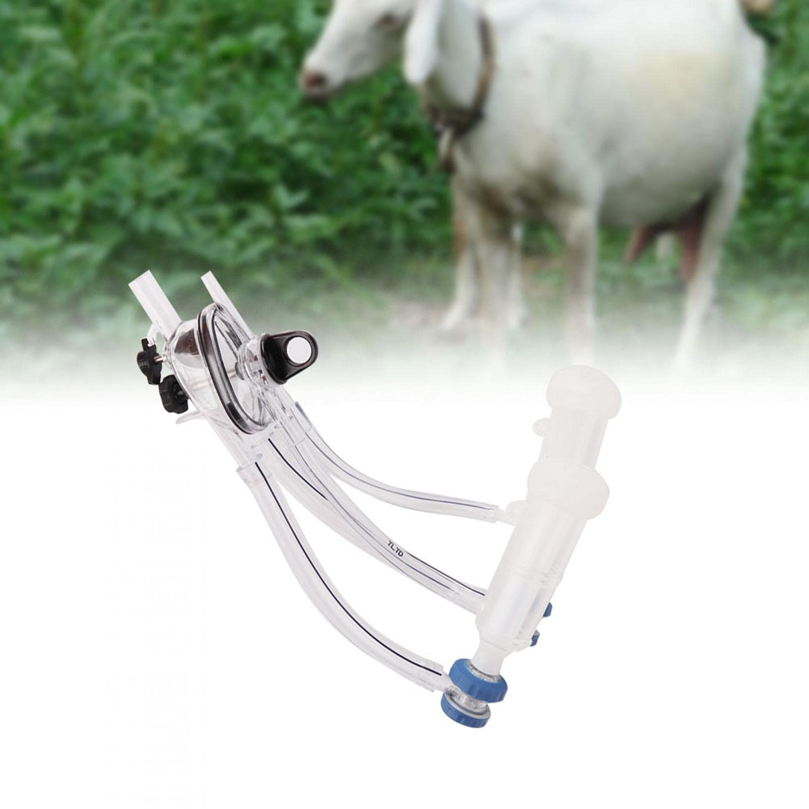 Kit per mungitura, Parti di macchine per mungitura di pecore di capra Kit per artigli di mungitura, Gruppi di mungitura per pecore Tettarella di mungitura di ricambio, Accessori per forniture agricole