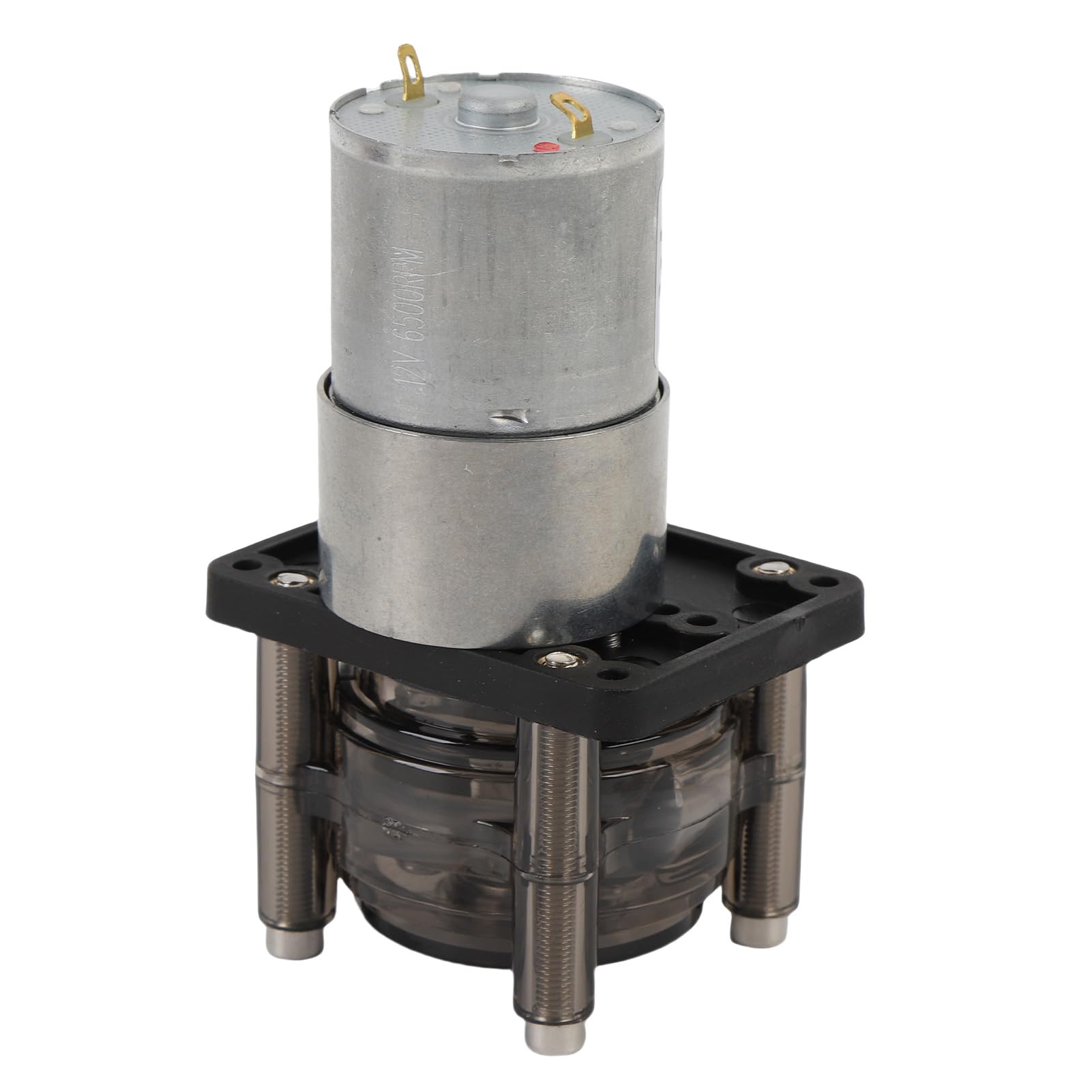 Bewinner Pompe Péristaltique 300 Ml/min, Pompe Doseuse de Liquide à Moteur brossé DC avec Tube en Silicone pour Applications d'aquarium, de Laboratoire et Industrielles (12V)