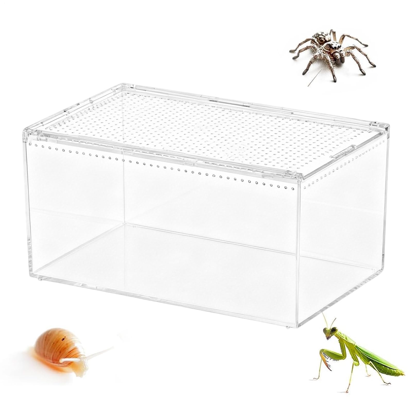 Terrarium Dla Pająków Przezroczyste Wentylowane Zabezpieczone Przed | Klatka Dla Pająków I Terrarium Dla Modliszek Dla Płazów Żab Krabów Gekonów Węży Żółwi Agam Brodatych Do Wnętrz