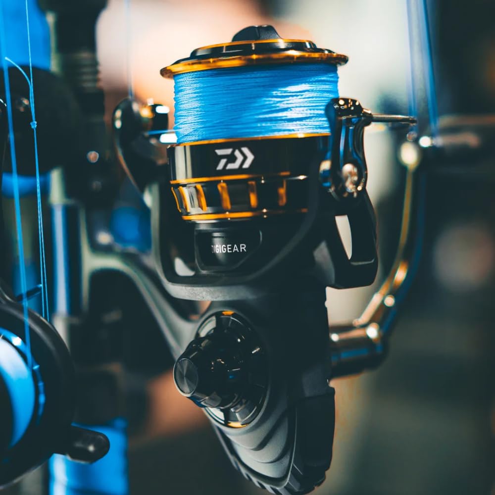 Amazon.com : Daiwa BG8000 BG Saltwater Spinning Reel, 8000, 5.3: 1